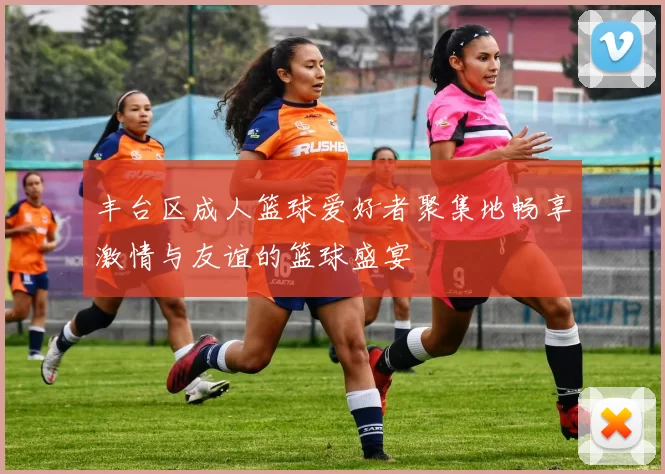 丰台区成人篮球爱好者聚集地畅享激情与友谊的篮球盛宴