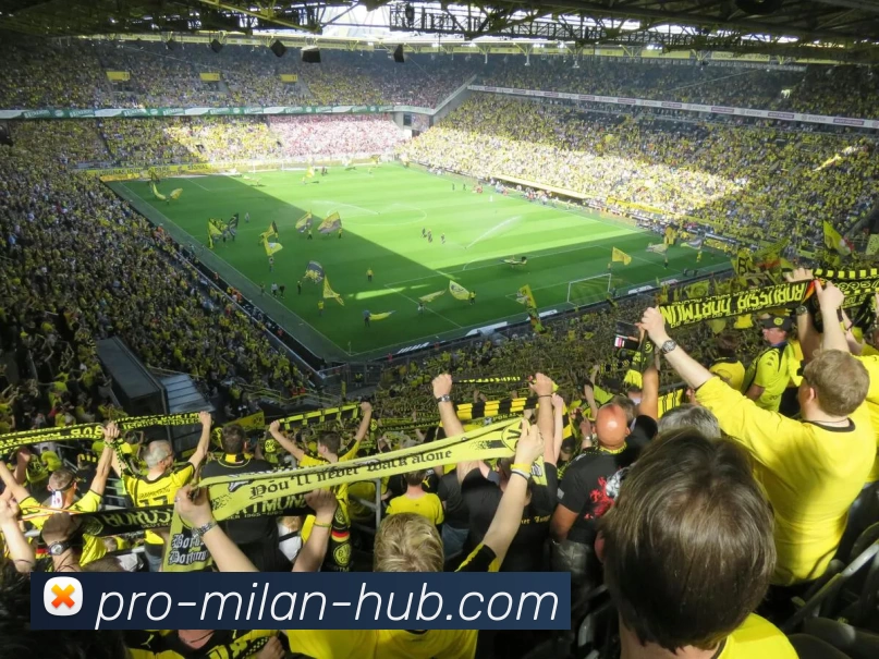 米兰体育正版平台APP 封面图